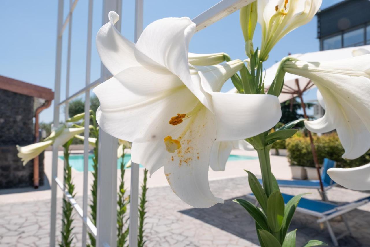 Lux Suite Sicily Mascalucia Exterior foto